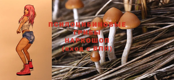 ECSTASY Алексеевка