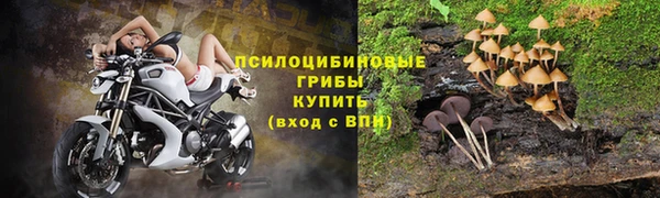 ECSTASY Алексеевка